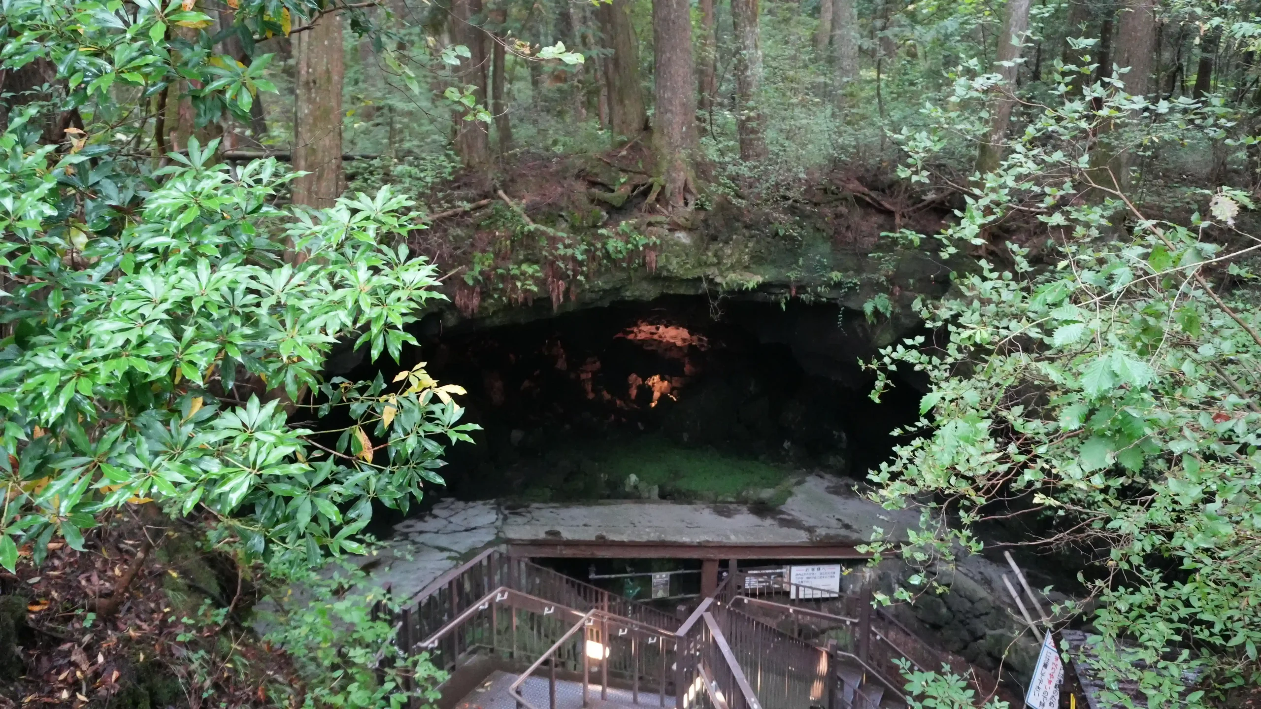 Read more about the article Narusawa Ice Cave