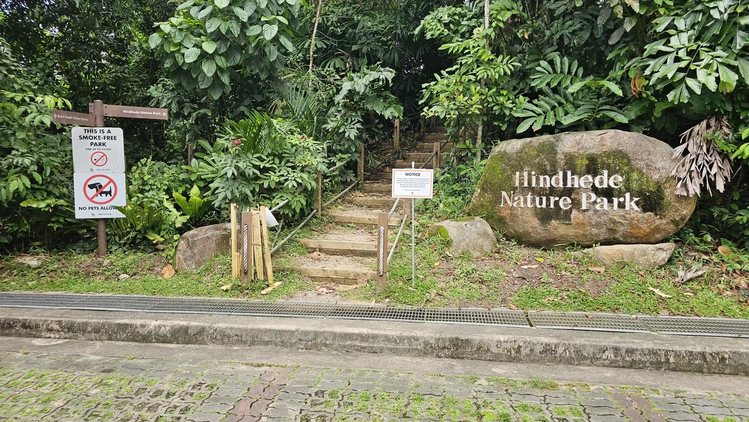 Bukit Timah Nature Reserve Scaled