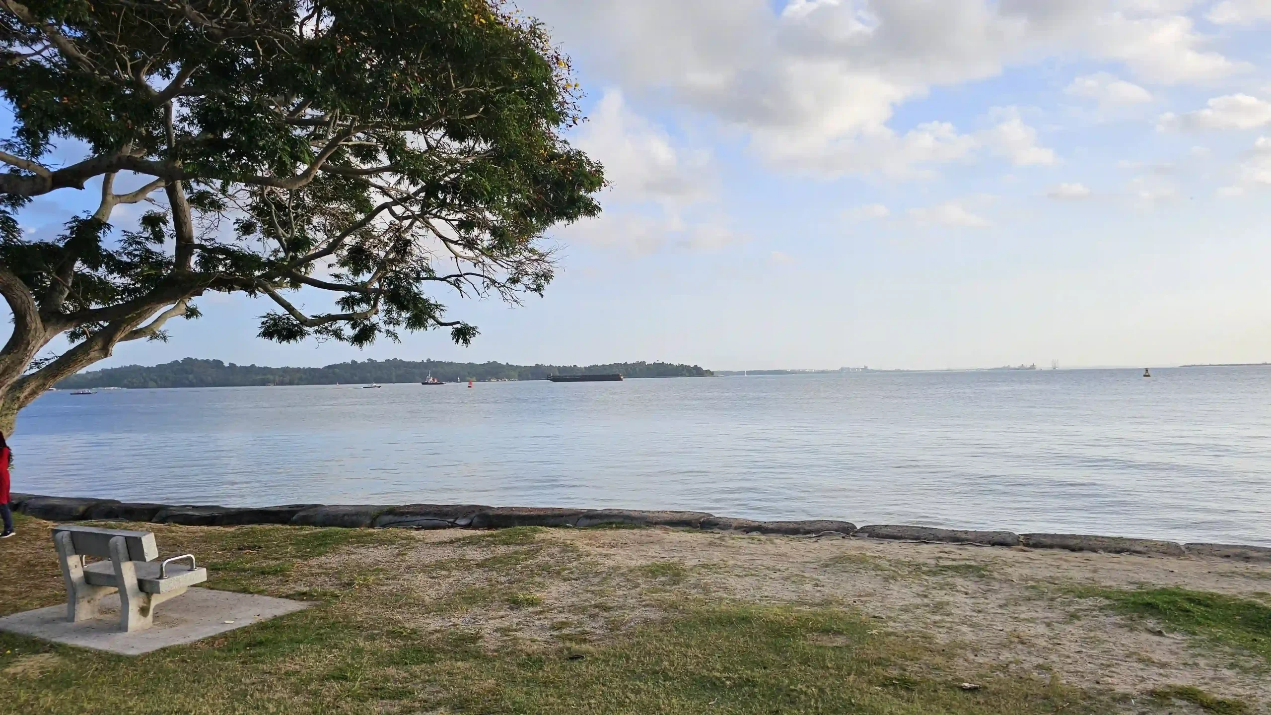 Read more about the article Changi Beach Park