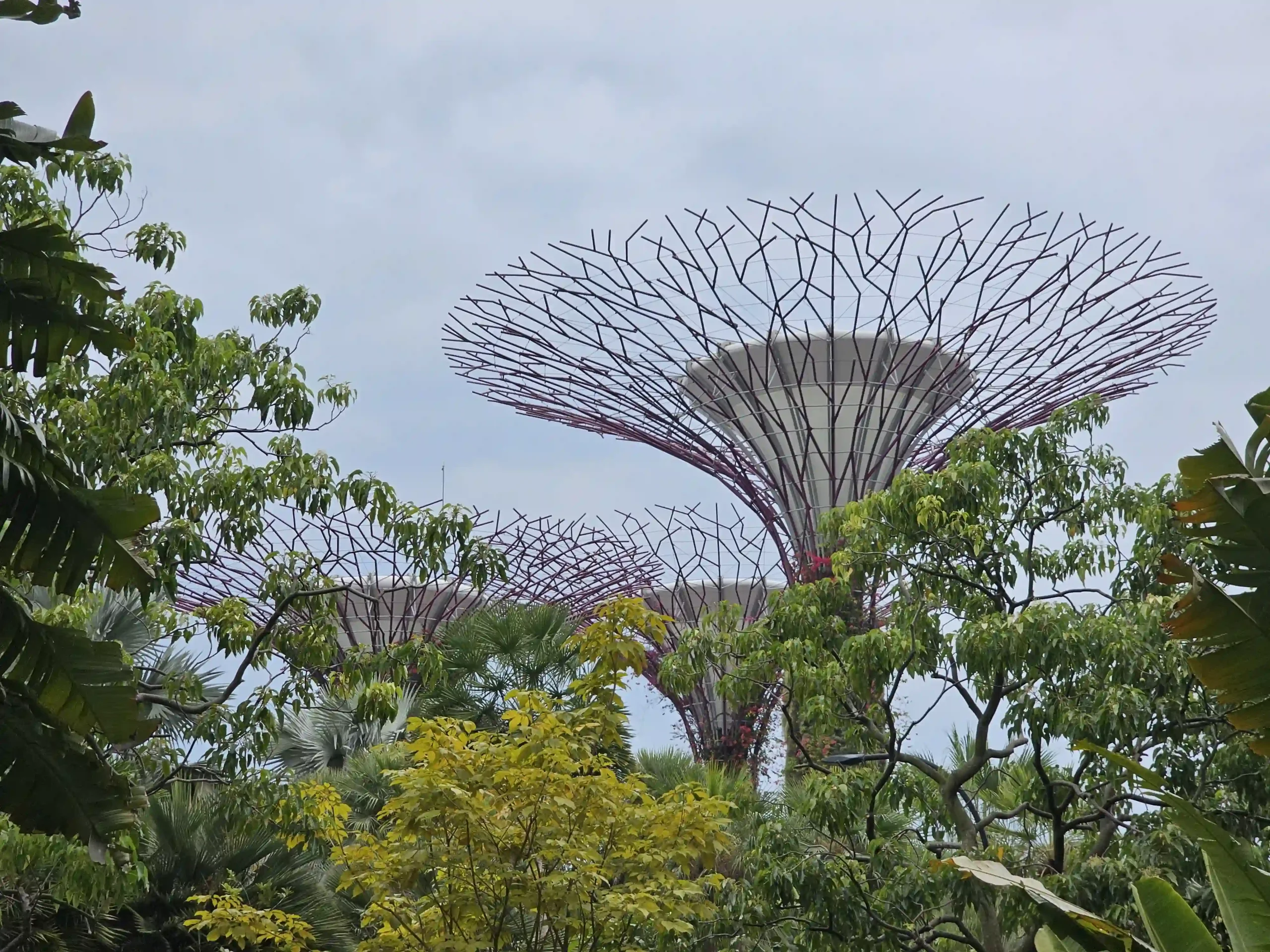 Read more about the article Garden by the Bay