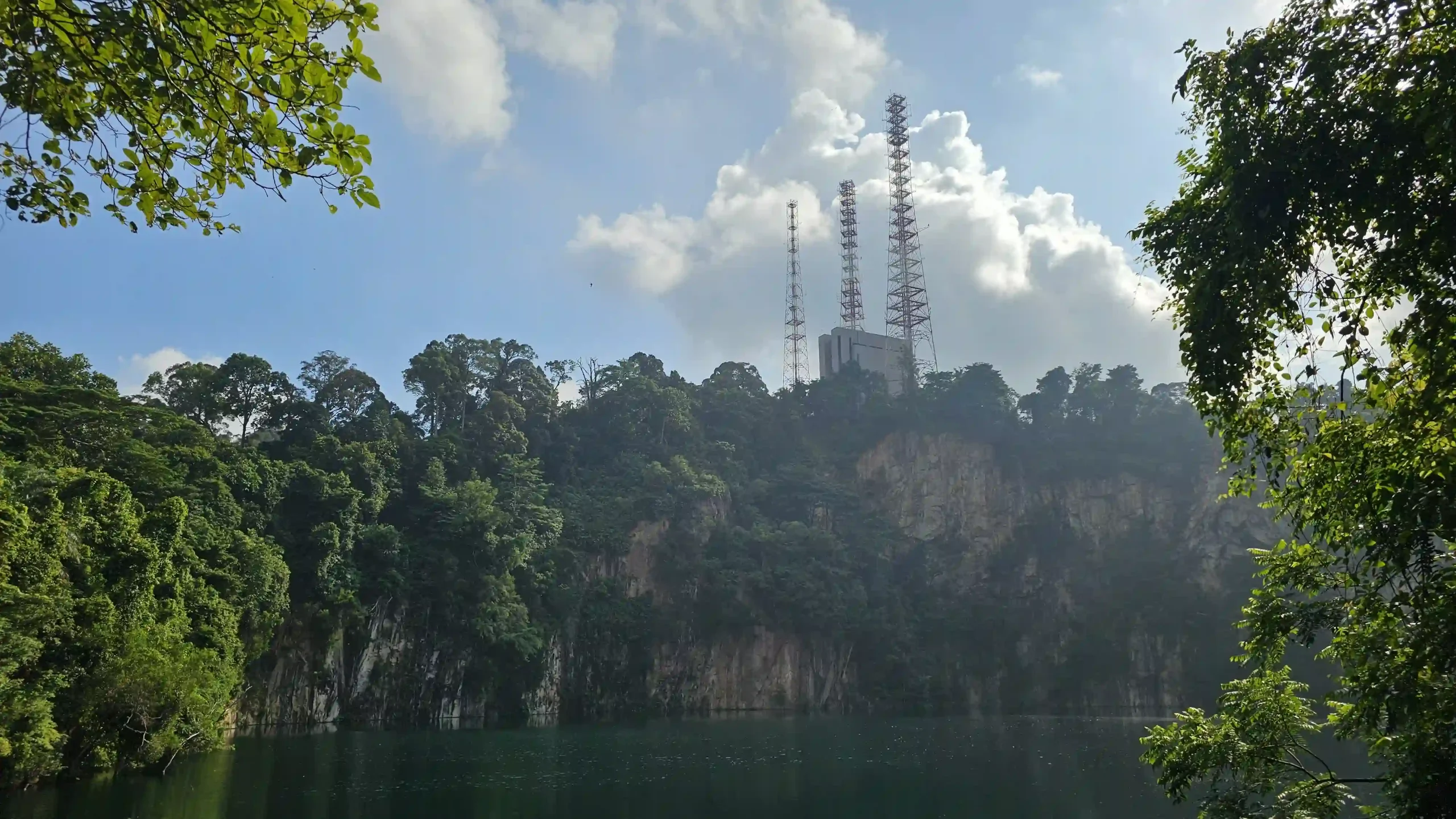 Read more about the article Bukit Timah Nature Reserve