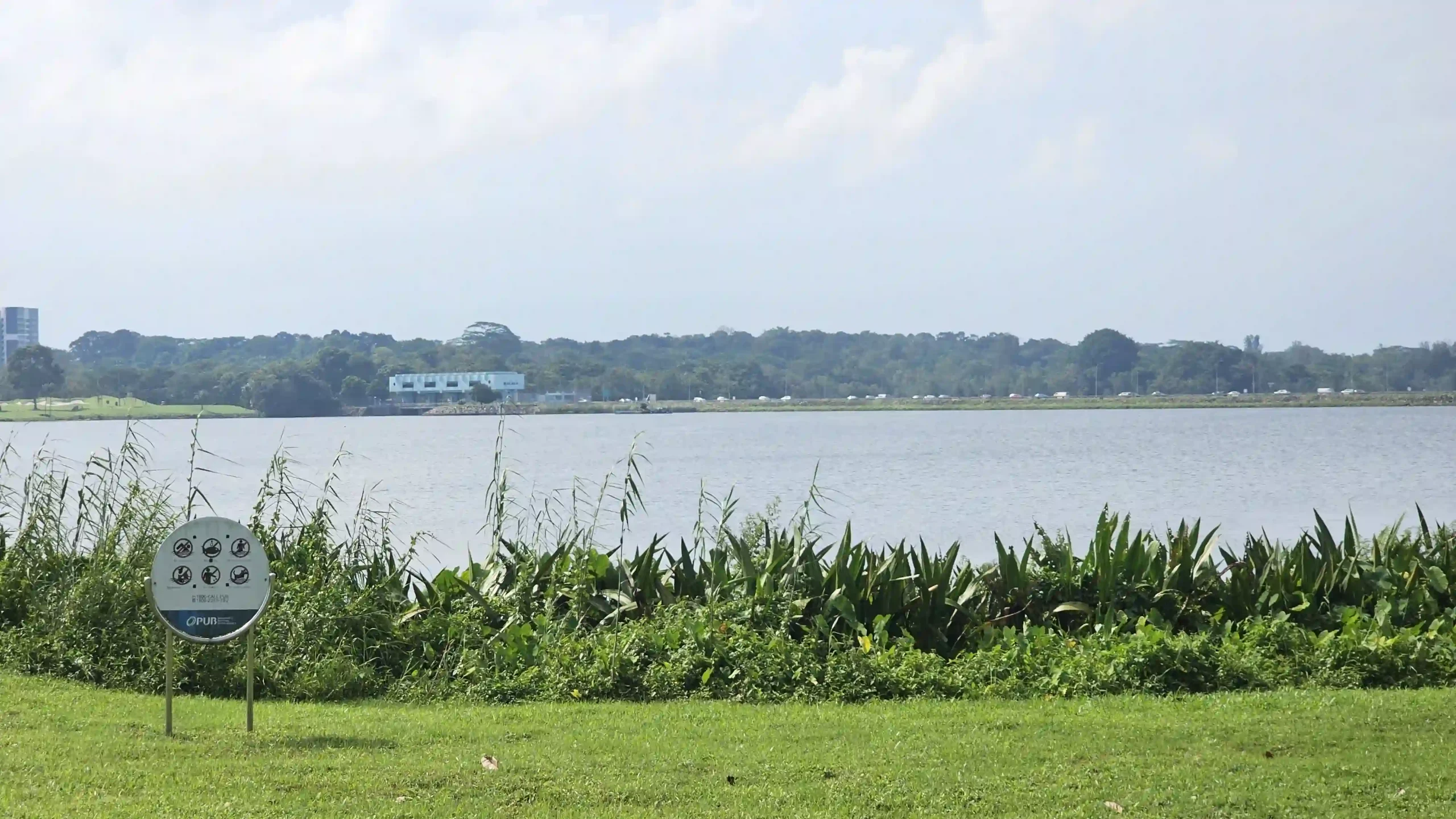 Read more about the article Lower Seletar Reservoir (Rower’s Bay)