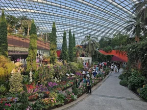 Read more about the article Orchid Extravaganza-2023