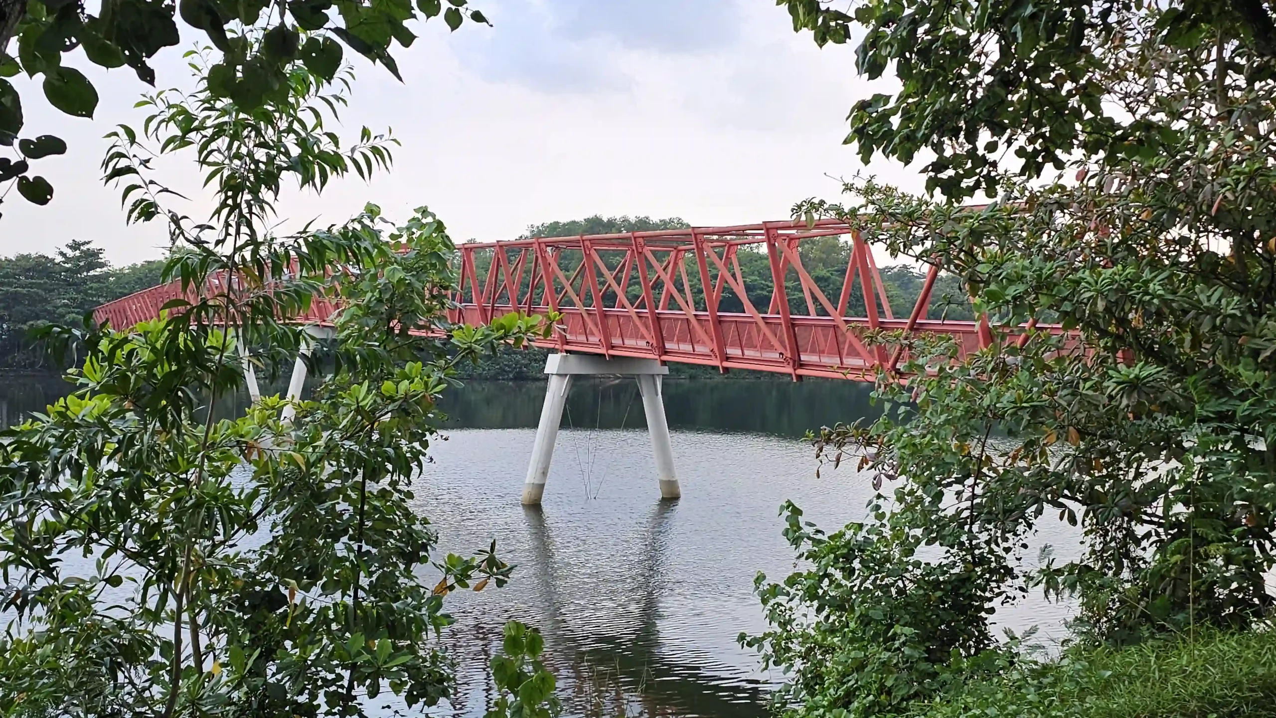 Read more about the article Lor Halus Wetland