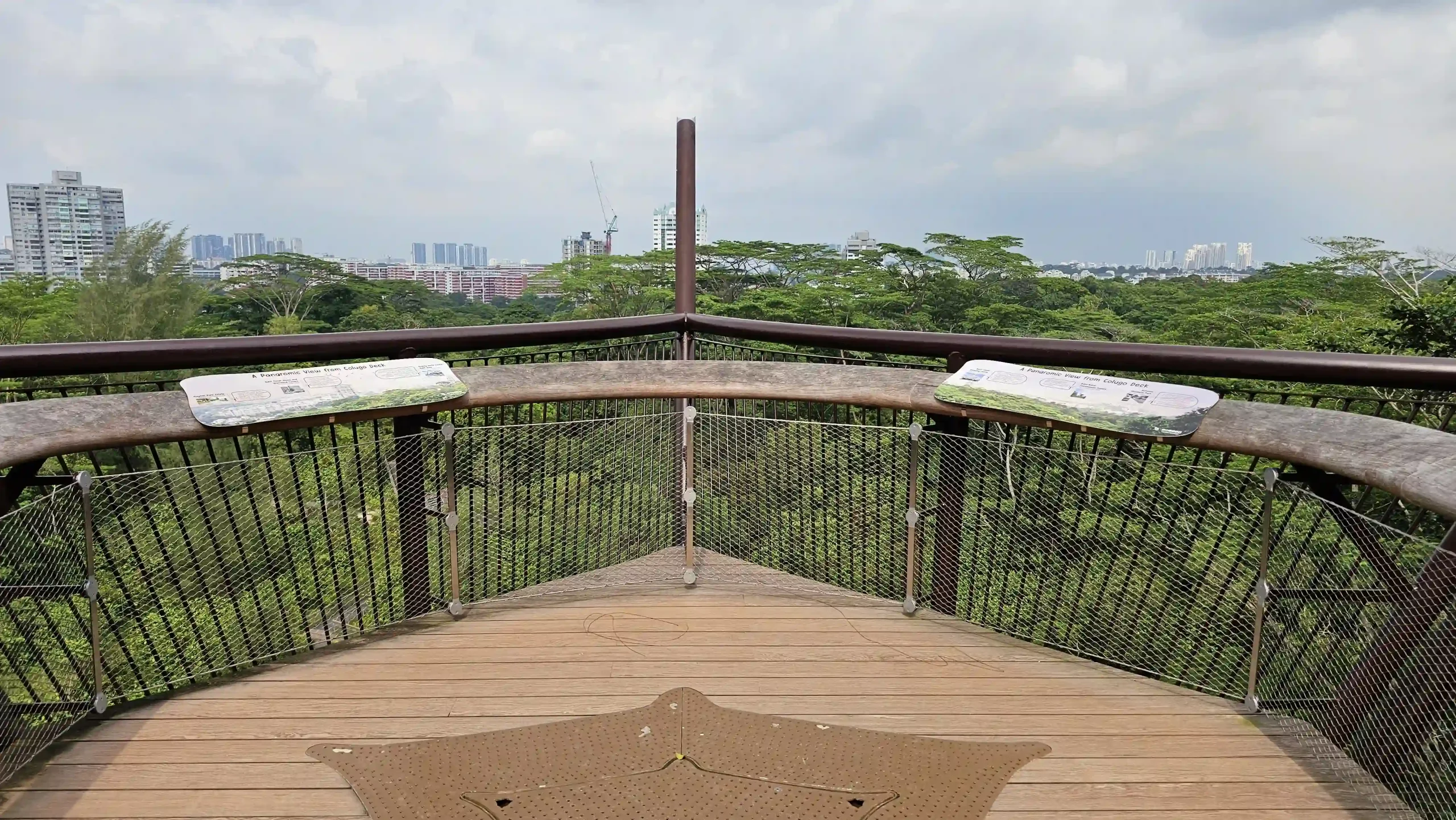 Read more about the article Rifle Range Nature Park