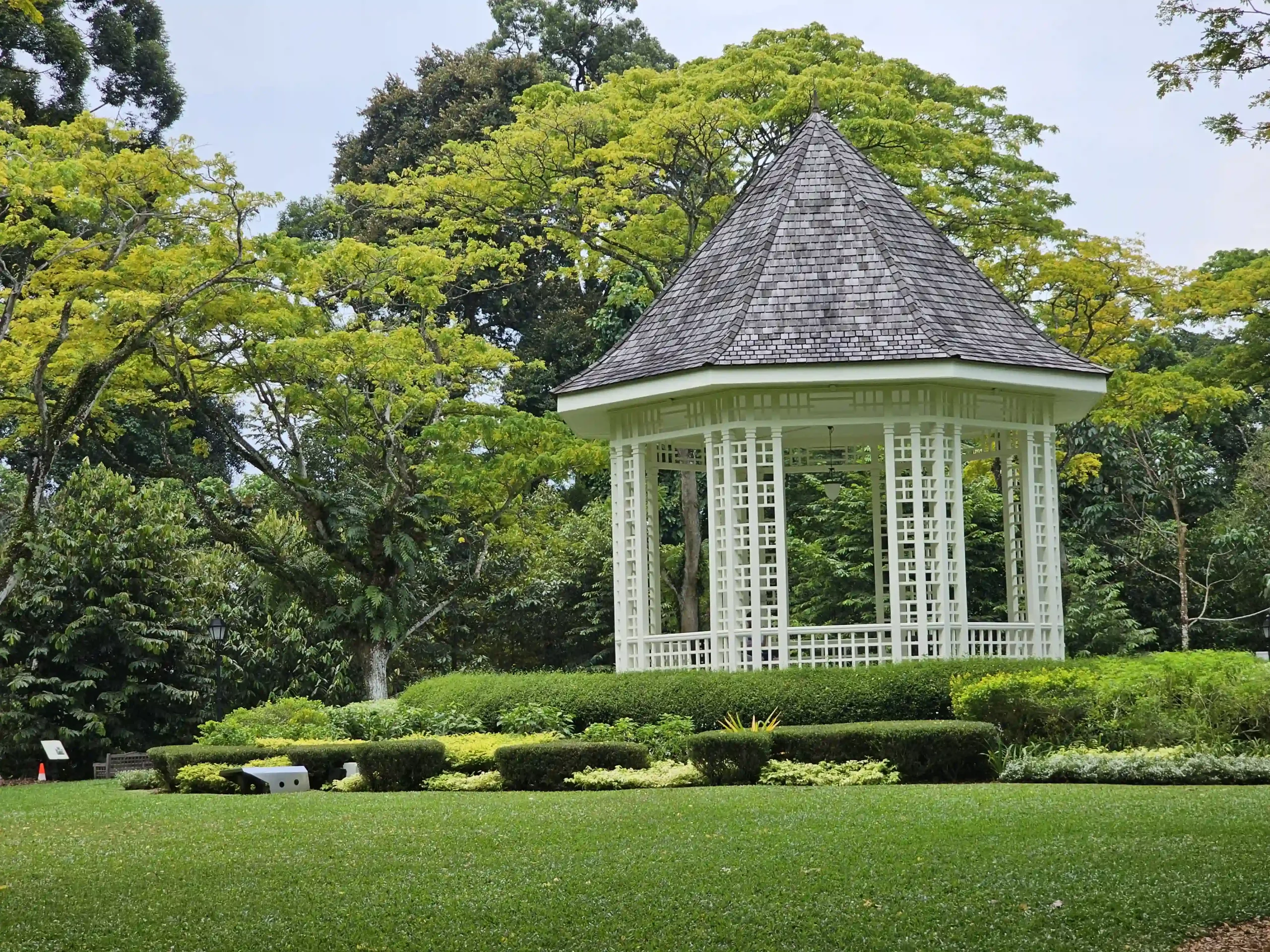 Read more about the article Singapore Botanic Gardens