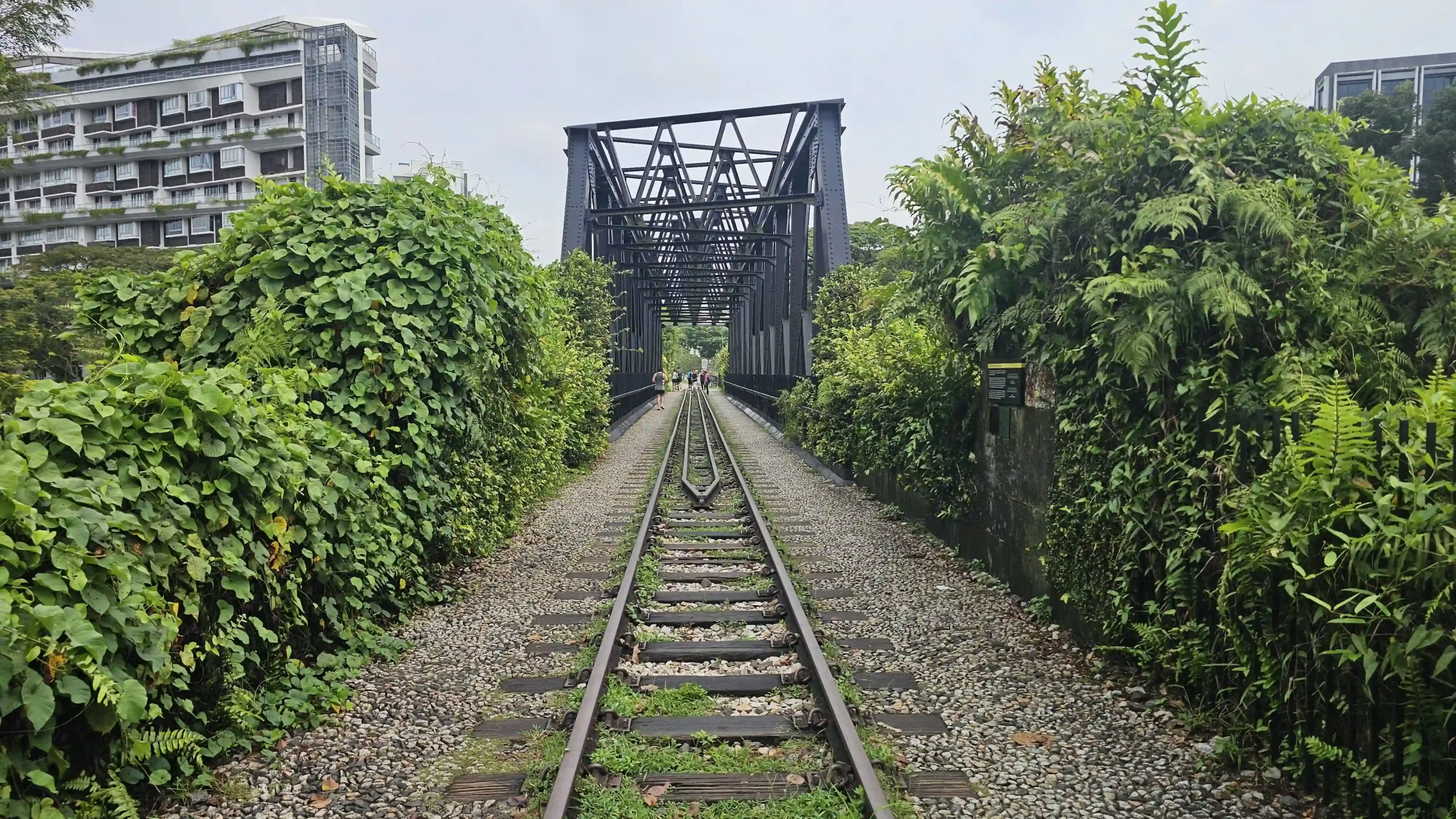 bukit timah truss bridge 4