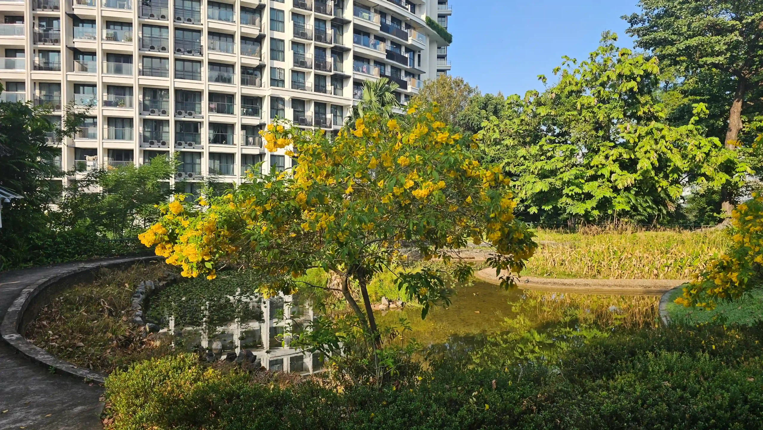 Read more about the article Pearl’s Park Reservoir