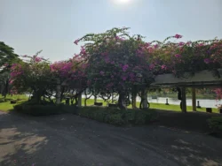 Kallang Riverside Park Svg+xml,%3Csvg%20xmlns%3D%22http%3A%2F%2Fwww.w3