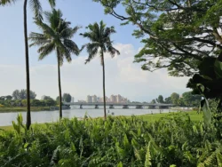 Kallang Riverside Park Svg+xml,%3Csvg%20xmlns%3D%22http%3A%2F%2Fwww.w3