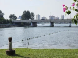 Kallang Riverside Park Svg+xml,%3Csvg%20xmlns%3D%22http%3A%2F%2Fwww.w3