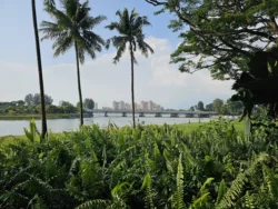 Kallang Riverside Park Svg+xml,%3Csvg%20xmlns%3D%22http%3A%2F%2Fwww.w3