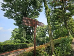 Mount Faber Park Svg+xml,%3Csvg%20xmlns%3D%22http%3A%2F%2Fwww.w3