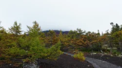 Fujisan Ochudo Svg+xml,%3Csvg%20xmlns%3D%22http%3A%2F%2Fwww.w3