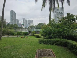 Kallang Riverside Park Svg+xml,%3Csvg%20xmlns%3D%22http%3A%2F%2Fwww.w3