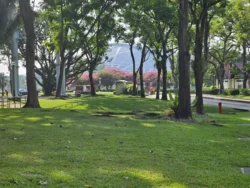 Kallang Riverside Park Svg+xml,%3Csvg%20xmlns%3D%22http%3A%2F%2Fwww.w3