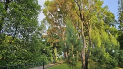 Kent Ridge Park Svg+xml,%3Csvg%20xmlns%3D%22http%3A%2F%2Fwww.w3