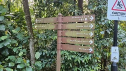 Kent Ridge Park Svg+xml,%3Csvg%20xmlns%3D%22http%3A%2F%2Fwww.w3