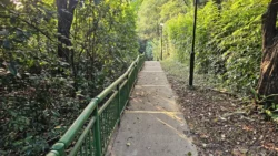 Kent Ridge Park Svg+xml,%3Csvg%20xmlns%3D%22http%3A%2F%2Fwww.w3