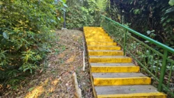 Kent Ridge Park Svg+xml,%3Csvg%20xmlns%3D%22http%3A%2F%2Fwww.w3