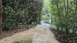 Kent Ridge Park Svg+xml,%3Csvg%20xmlns%3D%22http%3A%2F%2Fwww.w3