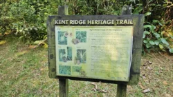 Kent Ridge Park Svg+xml,%3Csvg%20xmlns%3D%22http%3A%2F%2Fwww.w3