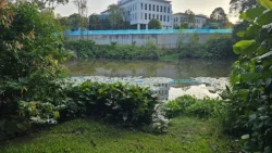 Kent Ridge Park Svg+xml,%3Csvg%20xmlns%3D%22http%3A%2F%2Fwww.w3