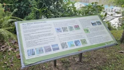 Kent Ridge Park Svg+xml,%3Csvg%20xmlns%3D%22http%3A%2F%2Fwww.w3