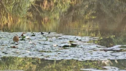 Kent Ridge Park Svg+xml,%3Csvg%20xmlns%3D%22http%3A%2F%2Fwww.w3