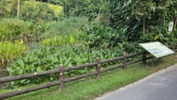 Kent Ridge Park Svg+xml,%3Csvg%20xmlns%3D%22http%3A%2F%2Fwww.w3