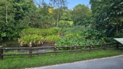 Kent Ridge Park Svg+xml,%3Csvg%20xmlns%3D%22http%3A%2F%2Fwww.w3