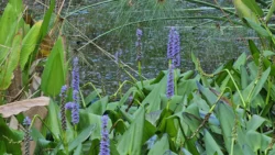 Kent Ridge Park Svg+xml,%3Csvg%20xmlns%3D%22http%3A%2F%2Fwww.w3