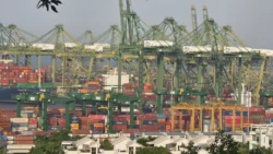 Kent Ridge Park Svg+xml,%3Csvg%20xmlns%3D%22http%3A%2F%2Fwww.w3