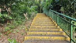 Kent Ridge Park Svg+xml,%3Csvg%20xmlns%3D%22http%3A%2F%2Fwww.w3