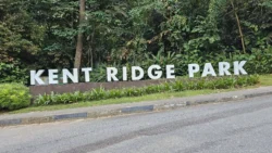 Kent Ridge Park Svg+xml,%3Csvg%20xmlns%3D%22http%3A%2F%2Fwww.w3
