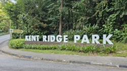 Kent Ridge Park Svg+xml,%3Csvg%20xmlns%3D%22http%3A%2F%2Fwww.w3