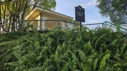 Kent Ridge Park Svg+xml,%3Csvg%20xmlns%3D%22http%3A%2F%2Fwww.w3