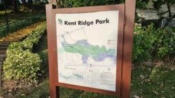 Kent Ridge Park Svg+xml,%3Csvg%20xmlns%3D%22http%3A%2F%2Fwww.w3