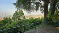 Kent Ridge Park Svg+xml,%3Csvg%20xmlns%3D%22http%3A%2F%2Fwww.w3