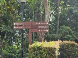 Mount Faber Park Svg+xml,%3Csvg%20xmlns%3D%22http%3A%2F%2Fwww.w3