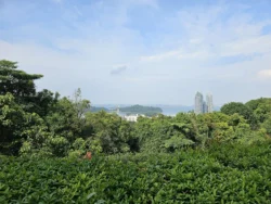 Mount Faber Park Svg+xml,%3Csvg%20xmlns%3D%22http%3A%2F%2Fwww.w3