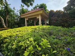 Mount Faber Park Svg+xml,%3Csvg%20xmlns%3D%22http%3A%2F%2Fwww.w3