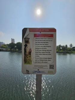 Kallang Riverside Park Svg+xml,%3Csvg%20xmlns%3D%22http%3A%2F%2Fwww.w3