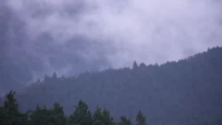 Hakone Sengokuhara Prince Hotel Svg+xml,%3Csvg%20xmlns%3D%22http%3A%2F%2Fwww.w3