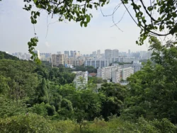 Mount Faber Park Svg+xml,%3Csvg%20xmlns%3D%22http%3A%2F%2Fwww.w3