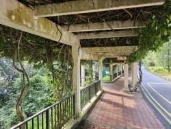 Mount Faber Park Svg+xml,%3Csvg%20xmlns%3D%22http%3A%2F%2Fwww.w3