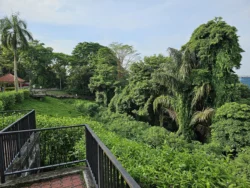 Mount Faber Park Svg+xml,%3Csvg%20xmlns%3D%22http%3A%2F%2Fwww.w3