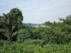 Mount Faber Park Svg+xml,%3Csvg%20xmlns%3D%22http%3A%2F%2Fwww.w3