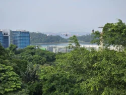 Mount Faber Park Svg+xml,%3Csvg%20xmlns%3D%22http%3A%2F%2Fwww.w3