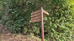 Mount Faber Park Svg+xml,%3Csvg%20xmlns%3D%22http%3A%2F%2Fwww.w3